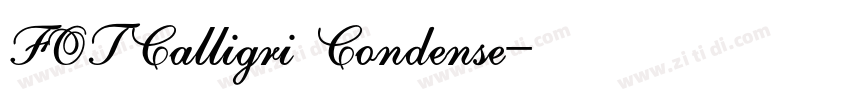 FOTCalligri Condense字体转换